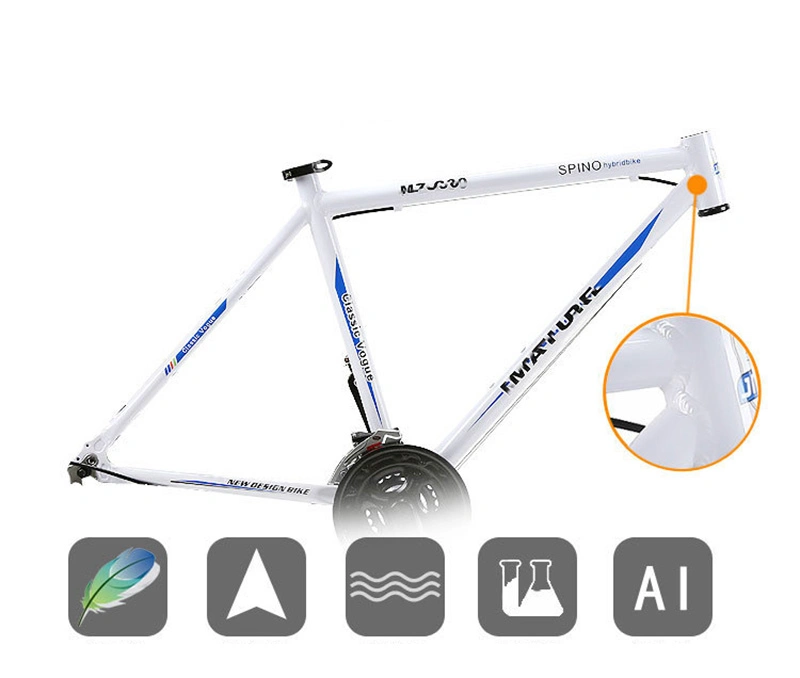 Bicycle Bicycles Children for Cadence and Speed Sensor Bikes Wholesale Exercise Old Mountainbikes Pump Road Bike