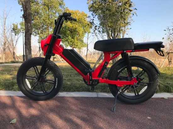 1000W 52V Electric Scooter Bike Bicycle with 20inch Fat Tire