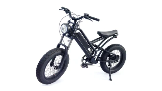 >80 Km 2 Wheel Lithium 48V 12.5ah Tube Electric Bike Shimano Tourney 7 Speed Ebike