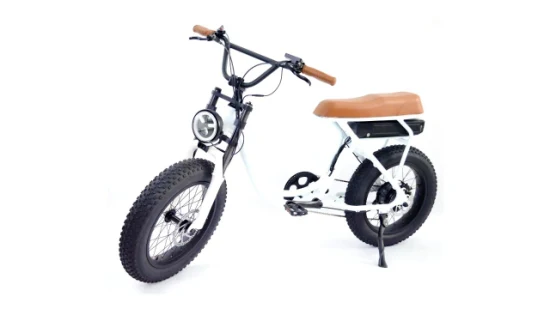 20 Inch Fat Tire Teenagers Popular Riding Electric Bike Bicycle Ebike