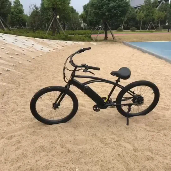 Beach Bruiser 48V Sand Beach Electric Bike